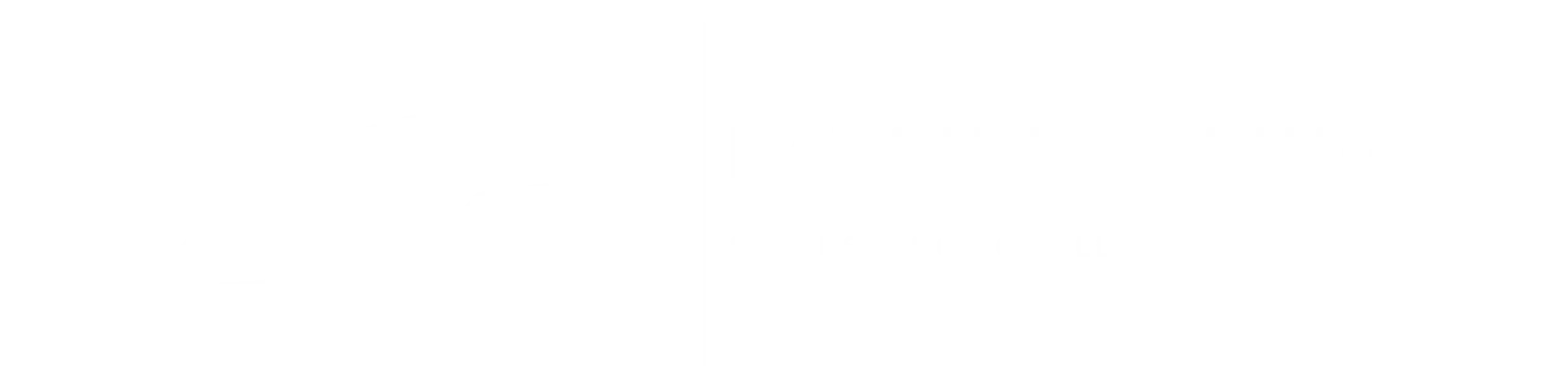 Raven Roofs